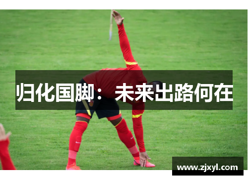 归化国脚:未来出路何在 归化国脚:未来出路何在